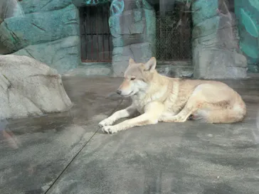 天王寺動物園に投稿された画像（2021/10/16）