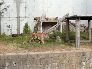 天王寺動物園に投稿された画像（2021/10/16）