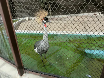 天王寺動物園に投稿された画像（2021/10/16）