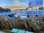名古屋港水族館に投稿された画像（2021/10/16）