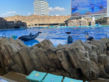 名古屋港水族館に投稿された画像（2021/10/16）