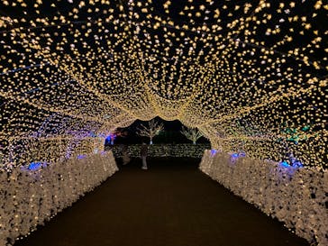 東京メガイルミに投稿された画像（2021/10/16）