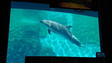 名古屋港水族館に投稿された画像（2021/10/16）