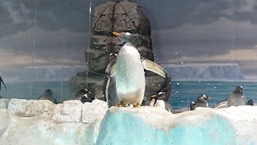 名古屋港水族館に投稿された画像（2021/10/16）