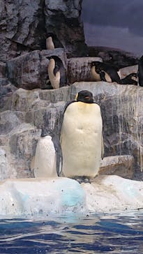 名古屋港水族館に投稿された画像（2021/10/16）