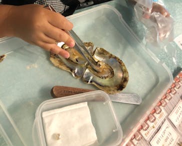 しながわ水族館に投稿された画像（2021/10/16）