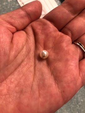 しながわ水族館に投稿された画像（2021/10/16）