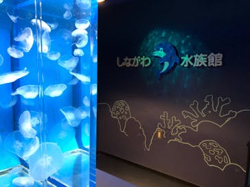 しながわ水族館に投稿された画像（2021/10/16）