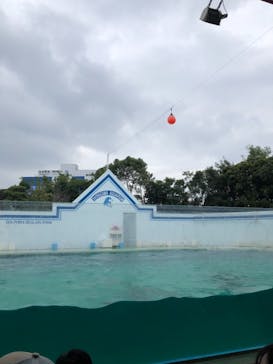 しながわ水族館に投稿された画像（2021/10/16）