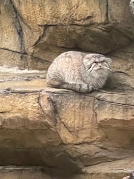 那須どうぶつ王国に投稿された画像（2021/10/16）