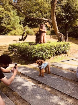 野外民族博物館 リトルワールドに投稿された画像（2021/10/16）