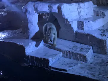 天王寺動物園に投稿された画像（2021/10/16）