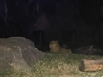 天王寺動物園に投稿された画像（2021/10/16）