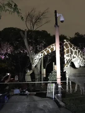 天王寺動物園に投稿された画像（2021/10/16）