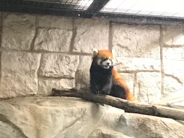 天王寺動物園に投稿された画像（2021/10/16）