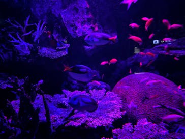 サンシャイン水族館に投稿された画像（2021/10/16）