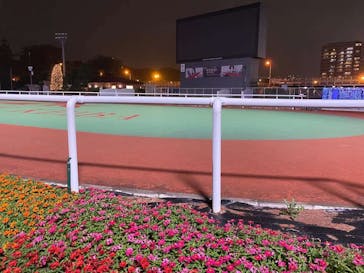 東京メガイルミに投稿された画像（2021/10/16）