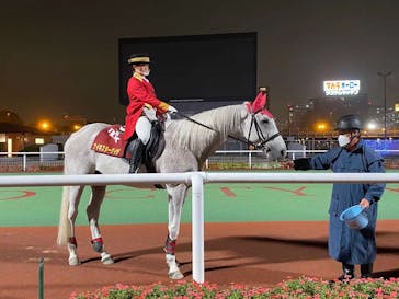 東京メガイルミに投稿された画像（2021/10/16）