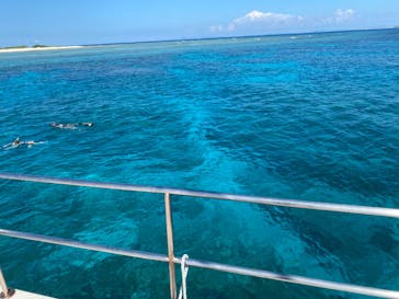 M.a.r.i.n.e Factoryに投稿された画像（2021/10/16）