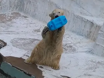 天王寺動物園に投稿された画像（2021/10/16）