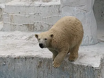 天王寺動物園に投稿された画像（2021/10/16）