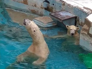天王寺動物園に投稿された画像（2021/10/16）