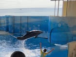 新江ノ島水族館に投稿された画像（2021/10/17）