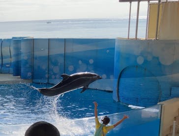 新江ノ島水族館に投稿された画像（2021/10/16）