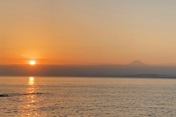新江ノ島水族館に投稿された画像（2021/10/16）