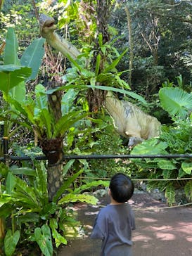 御菓子御殿　名護店　やんばる亜熱帯の森DINO恐竜PARKに投稿された画像（2021/10/16）