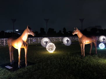 東京メガイルミに投稿された画像（2021/10/16）