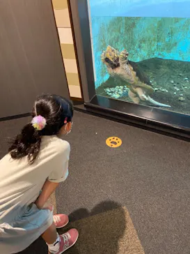 天王寺動物園に投稿された画像（2021/10/16）