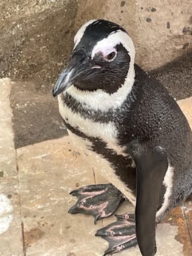 ゼロ距離水族館 伊勢シーパラダイスに投稿された画像（2021/10/16）