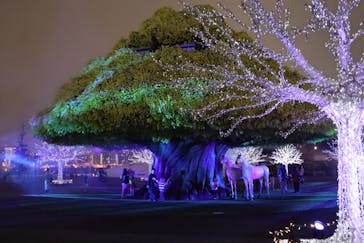 東京メガイルミに投稿された画像（2021/10/16）