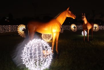 東京メガイルミに投稿された画像（2021/10/16）