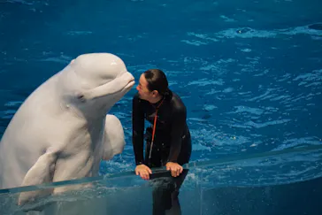 横浜・八景島シーパラダイスに投稿された画像（2021/10/16）