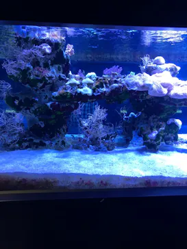 すみだ水族館に投稿された画像（2021/10/16）