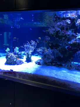 すみだ水族館に投稿された画像（2021/10/16）