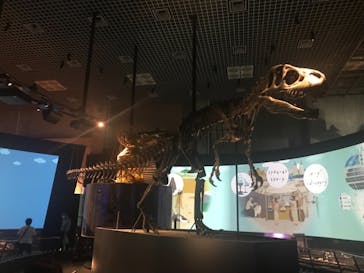 国立科学博物館に投稿された画像（2021/10/16）