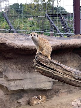 よこはま動物園ズーラシアに投稿された画像（2021/10/17）
