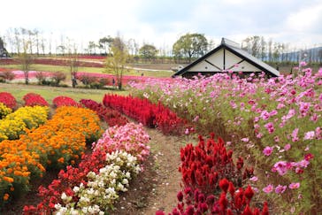 牧歌の里に投稿された画像（2021/10/17）