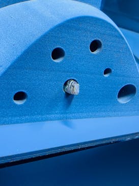 京都水族館に投稿された画像（2021/10/17）