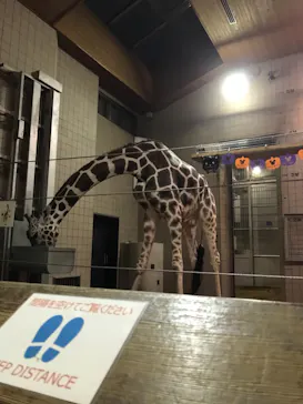 天王寺動物園に投稿された画像（2021/10/17）