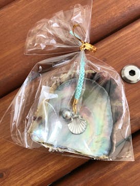 しながわ水族館に投稿された画像（2021/10/17）