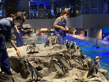 すみだ水族館に投稿された画像（2021/10/17）