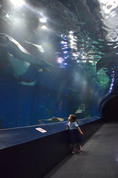 マクセル アクアパーク品川に投稿された画像（2021/10/17）