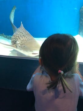 マクセル アクアパーク品川に投稿された画像（2021/10/17）