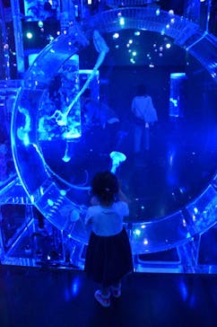 マクセル アクアパーク品川に投稿された画像（2021/10/17）