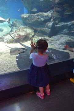 マクセル アクアパーク品川に投稿された画像（2021/10/17）