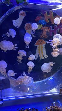 名古屋港水族館に投稿された画像（2021/10/17）